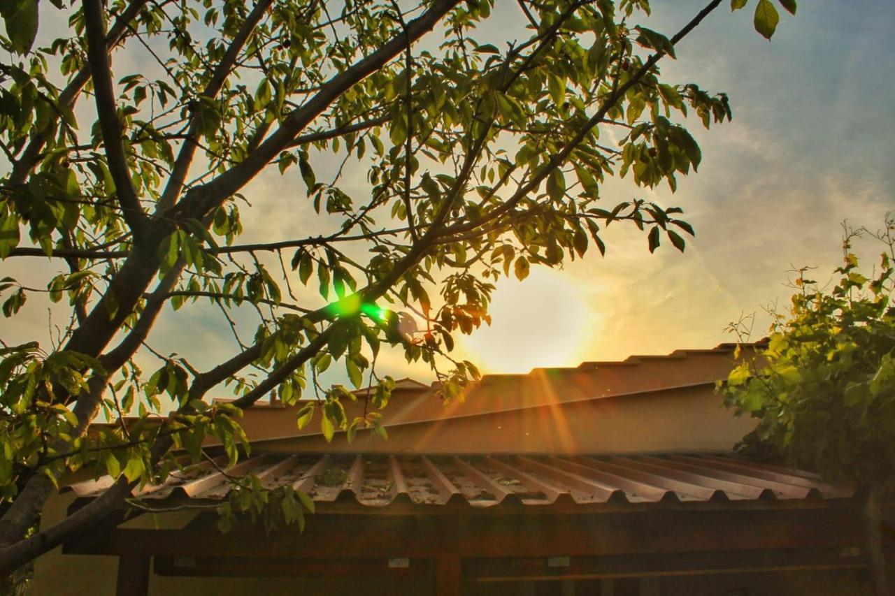Apartment Taja, Cijela Kuca I Vrt Samo Za Vas Split Buitenkant foto